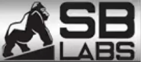 officialsblabss.shop